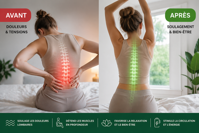 HEXALYA™ – Le Masseur Dorsal 3 en 1